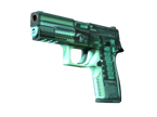P250 | X-Ray image